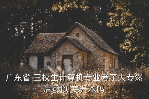 廣東省 三校生計(jì)算機(jī)專業(yè)考了大專然后可以 專升本嗎