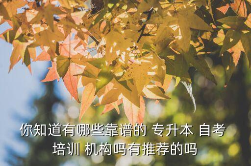 你知道有哪些靠譜的 專(zhuān)升本 自考 培訓(xùn) 機(jī)構(gòu)嗎有推薦的嗎