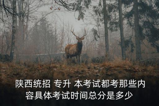  陜西統(tǒng)招 專升 本考試都考那些內(nèi)容具體考試時間總分是多少