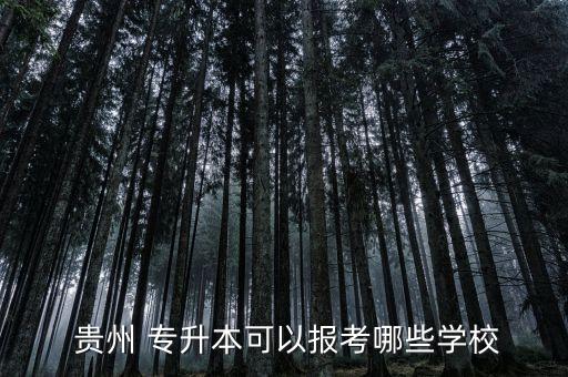  貴州 專升本可以報考哪些學(xué)校