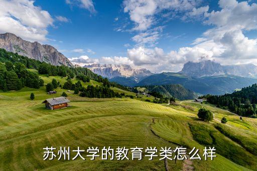 蘇州大學(xué)的教育學(xué)類(lèi)怎么樣