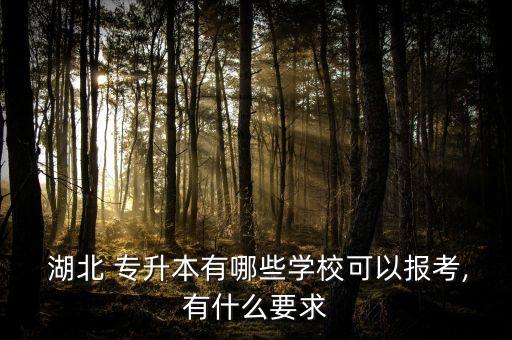  湖北 專升本有哪些學(xué)?？梢詧?bào)考,有什么要求