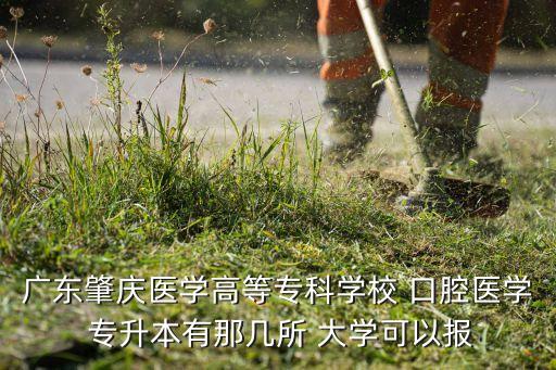 廣東肇慶醫(yī)學高等?？茖W校 口腔醫(yī)學 專升本有那幾所 大學可以報