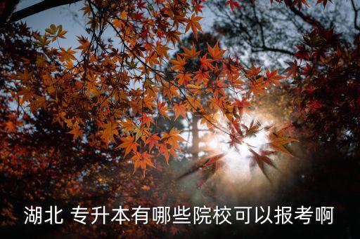湖北 專(zhuān)升本有哪些院校可以報(bào)考啊