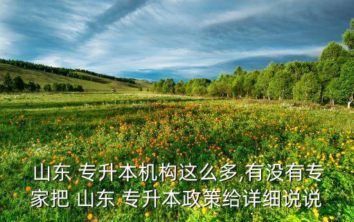  山東 專升本機構這么多,有沒有專家把 山東 專升本政策給詳細說說
