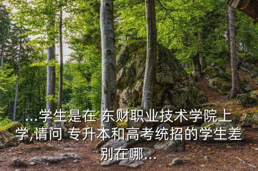 ...學(xué)生是在 東財職業(yè)技術(shù)學(xué)院上學(xué),請問 專升本和高考統(tǒng)招的學(xué)生差別在哪...