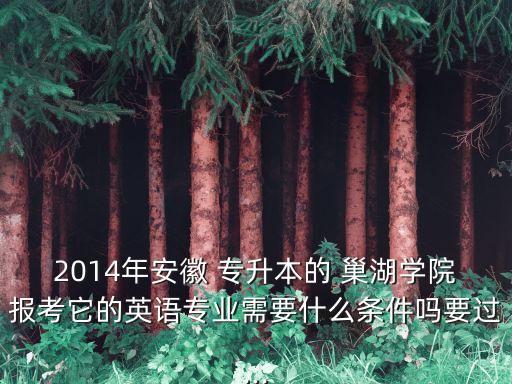 2014年安徽 專升本的 巢湖學(xué)院報(bào)考它的英語(yǔ)專業(yè)需要什么條件嗎要過(guò)...