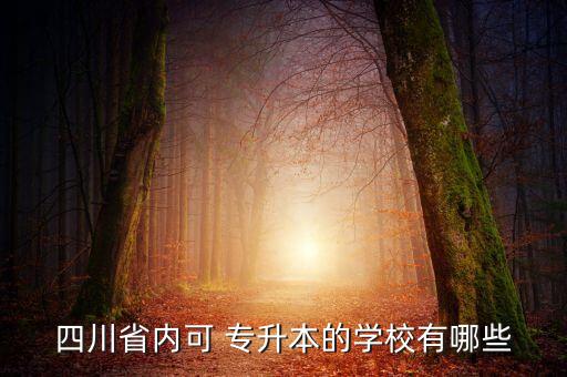 內(nèi)江師范學(xué)院 專(zhuān)升本