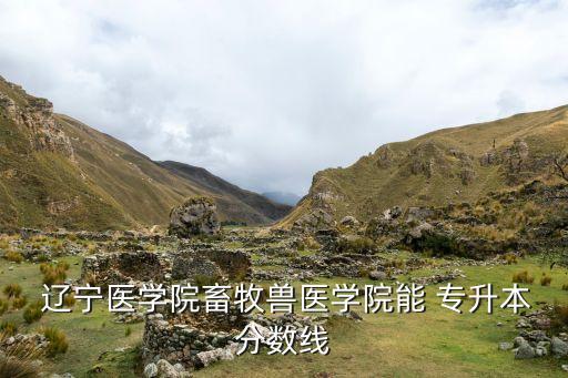  遼寧醫(yī)學(xué)院畜牧獸醫(yī)學(xué)院能 專升本分數(shù)線