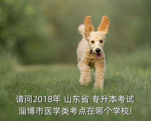 請(qǐng)問2018年 山東省 專升本考試淄博市醫(yī)學(xué)類考點(diǎn)在哪個(gè)學(xué)校!