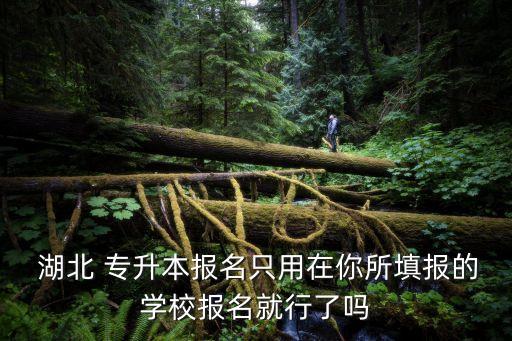 2015年湖北專(zhuān)升本時(shí)間