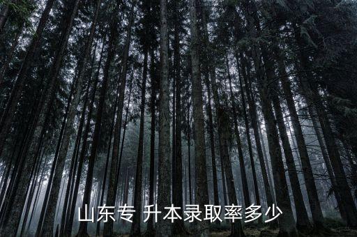 山東醫(yī)專升本18年升本人數