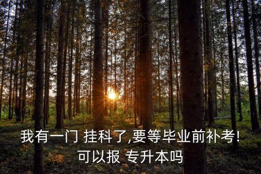 我有一門 掛科了,要等畢業(yè)前補考!可以報 專升本嗎