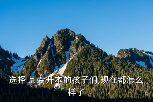 專(zhuān)升本的人很拼