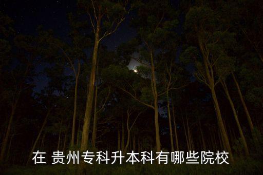 在 貴州?？粕究朴心男┰盒? class=