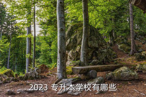 2023 專(zhuān)升本學(xué)校有哪些