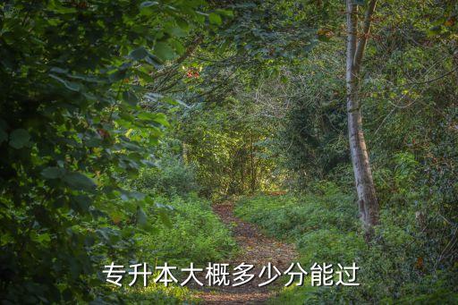 一般專升本分?jǐn)?shù)高嗎,云南財經(jīng)大學(xué)專升本分?jǐn)?shù)