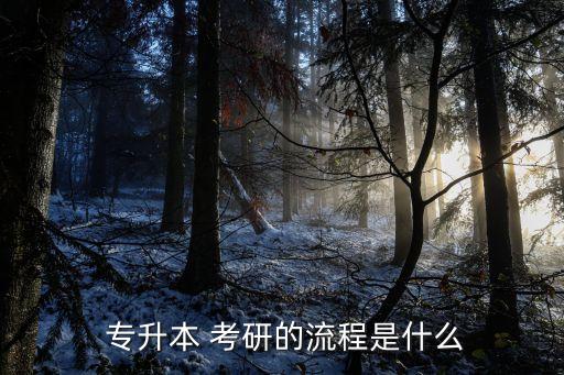  專升本 考研的流程是什么