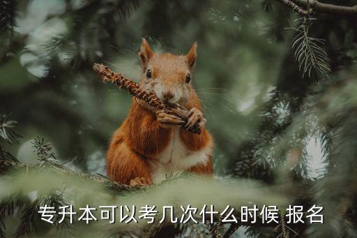  專(zhuān)升本可以考幾次什么時(shí)候 報(bào)名