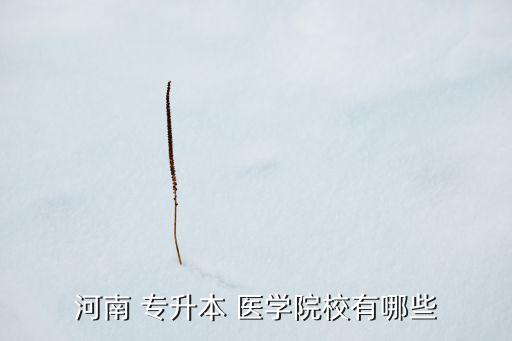 河南 專升本 醫(yī)學(xué)院校有哪些