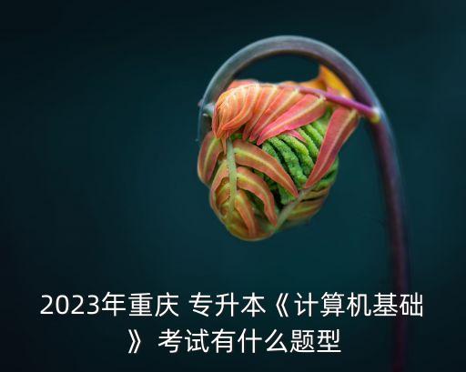 2023年重慶 專升本《計(jì)算機(jī)基礎(chǔ)》 考試有什么題型