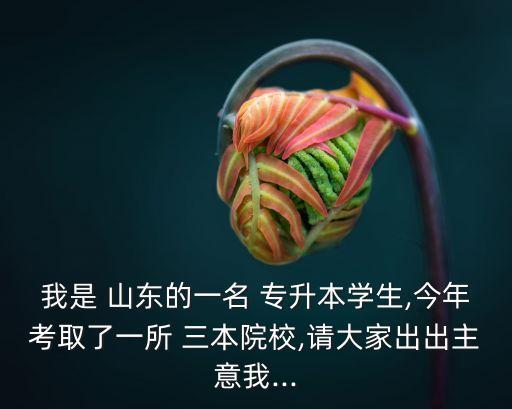 我是 山東的一名 專升本學生,今年考取了一所 三本院校,請大家出出主意我...