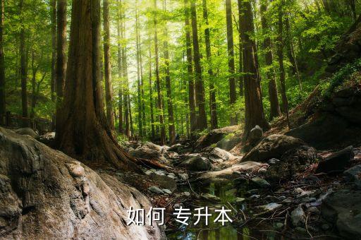 如何 專(zhuān)升本