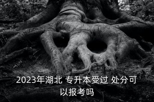 2023年湖北 專升本受過 處分可以報考嗎