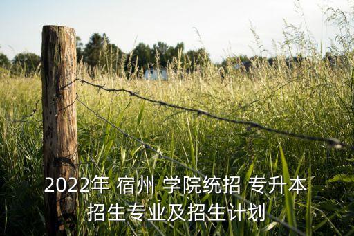 2022年 宿州 學(xué)院統(tǒng)招 專升本招生專業(yè)及招生計(jì)劃
