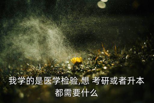我學(xué)的是醫(yī)學(xué)檢驗,想 考研或者升本都需要什么