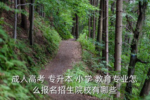 成人高考 專升本 小學(xué) 教育專業(yè)怎么報名招生院校有哪些