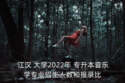 江漢大學舞蹈系專升本
