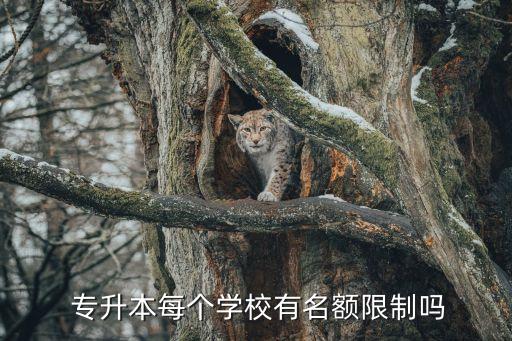  專升本每個(gè)學(xué)校有名額限制嗎