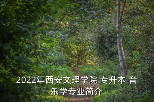 音樂(lè)類(lèi)專(zhuān)升本學(xué)校,湖北音樂(lè)類(lèi)專(zhuān)升本學(xué)校