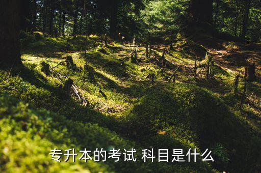南理工專(zhuān)升本統(tǒng)考科目