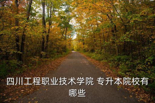 四川省專升本對口學校,武漢職業(yè)技術(shù)學院專升本對口學校