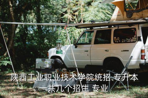  陜西工業(yè)職業(yè)技術(shù)學(xué)院統(tǒng)招 專升本一共幾個招生 專業(yè)