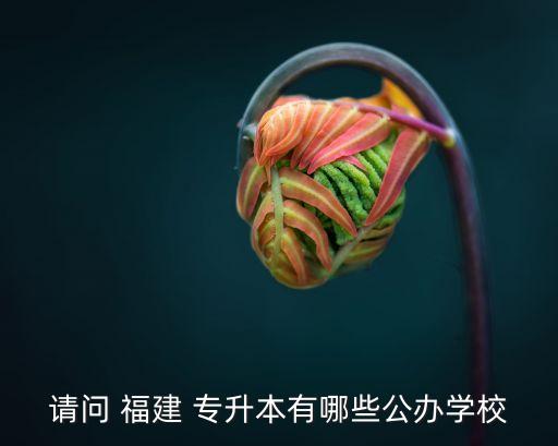 福建小學教育專升本2017