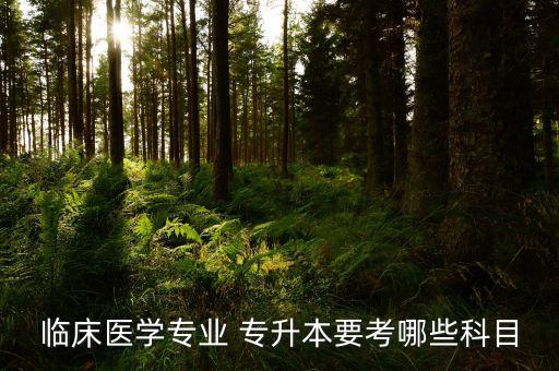 臨床醫(yī)學專業(yè) 專升本要考哪些科目