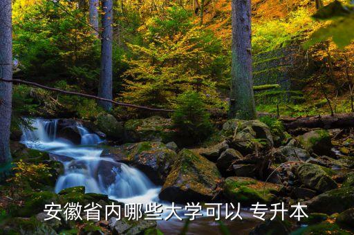 安徽省內(nèi)哪些大學(xué)可以 專升本
