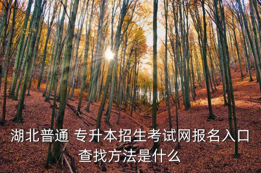 湖北省專(zhuān)升本信息