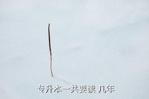  專升本一共要讀 幾年