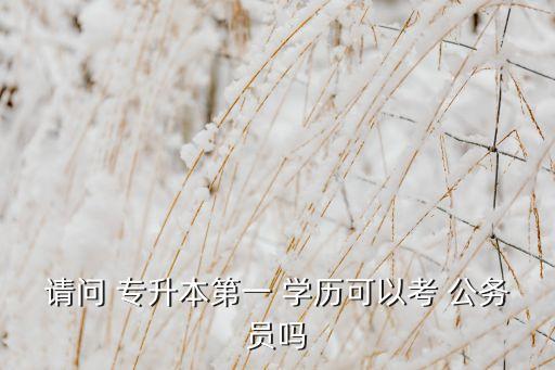 請(qǐng)問(wèn) 專升本第一 學(xué)歷可以考 公務(wù)員嗎