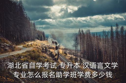 湖北省自學(xué)考試 專升本 漢語(yǔ)言文學(xué)專業(yè)怎么報(bào)名助學(xué)班學(xué)費(fèi)多少錢(qián)