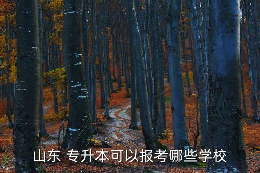 山東省內(nèi)專(zhuān)升本