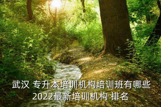 武漢 專升本培訓機構培訓班有哪些2022最新培訓機構 排名