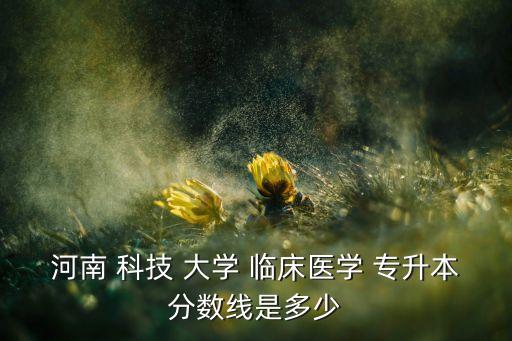 河南科技大學臨床專業(yè)專升本,2023河南科技大學專升本專業(yè)
