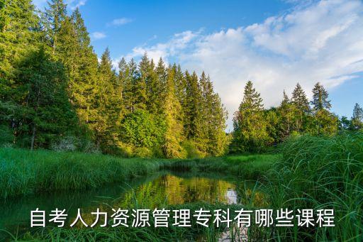 自考人力資源管理?？朴心男┱n程
