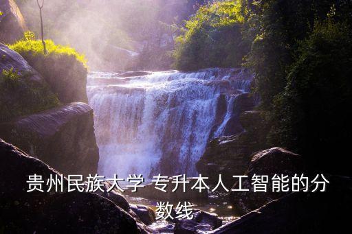  貴州民族大學(xué) 專升本人工智能的分?jǐn)?shù)線