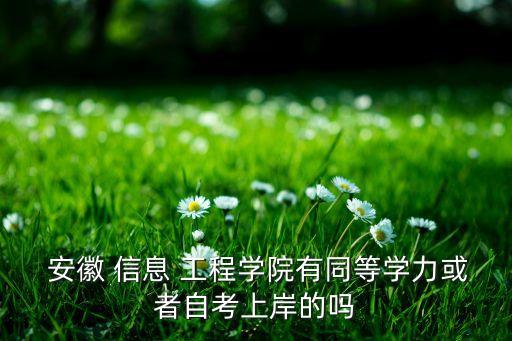  安徽 信息 工程學院有同等學力或者自考上岸的嗎